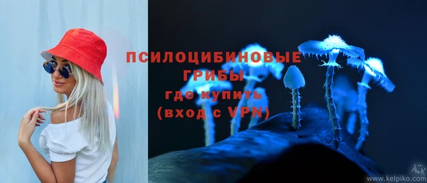 ALPHA PVP Армянск