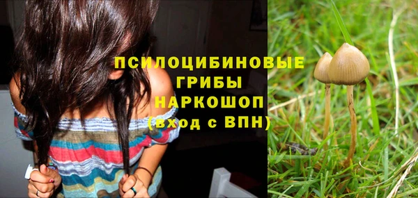 ALPHA PVP Армянск