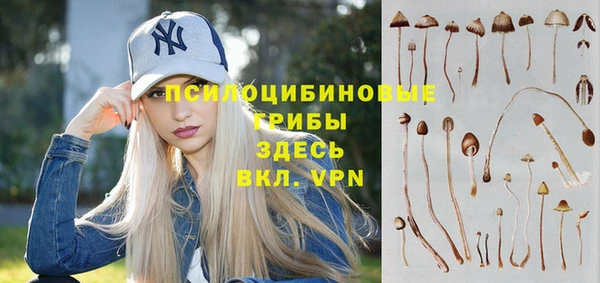 дживик Арсеньев