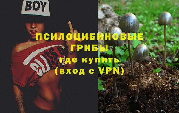 дживик Арсеньев