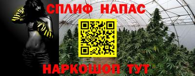 ПСИЛОЦИБИНОВЫЕ ГРИБЫ Волжск