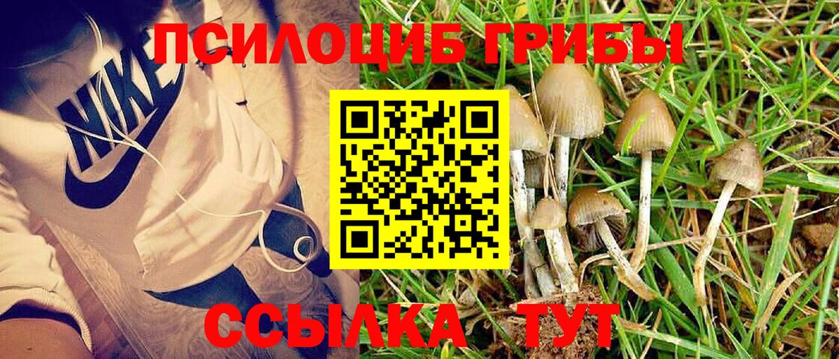 Галлюциногенные грибы прущие грибы Йошкар-Ола