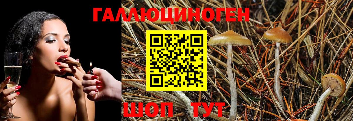 Псилоцибиновые грибы ЛСД  как найти наркотики  Йошкар-Ола 