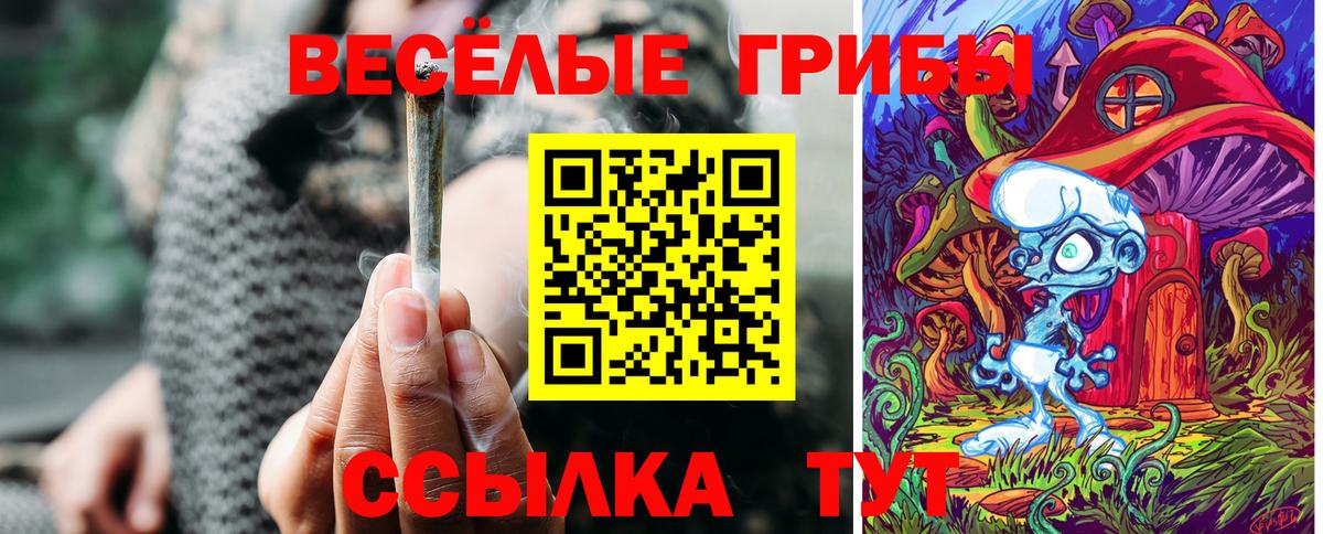 Йошкар-Ола  Псилоцибиновые грибы мицелий  Псилоцибиновые грибы Psilocybe  Вход с VPN 