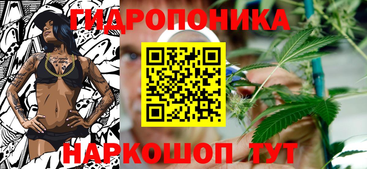 Конопля Bruce Banner  Вход с VPN  Йошкар-Ола  Марихуана SATIVA & INDICA  Бошки марихуана конопля  Конопля планчик 